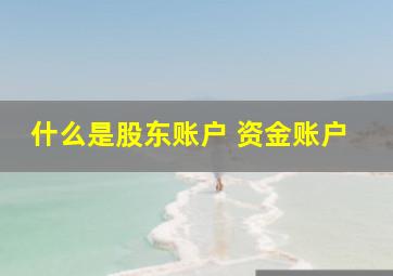 什么是股东账户 资金账户